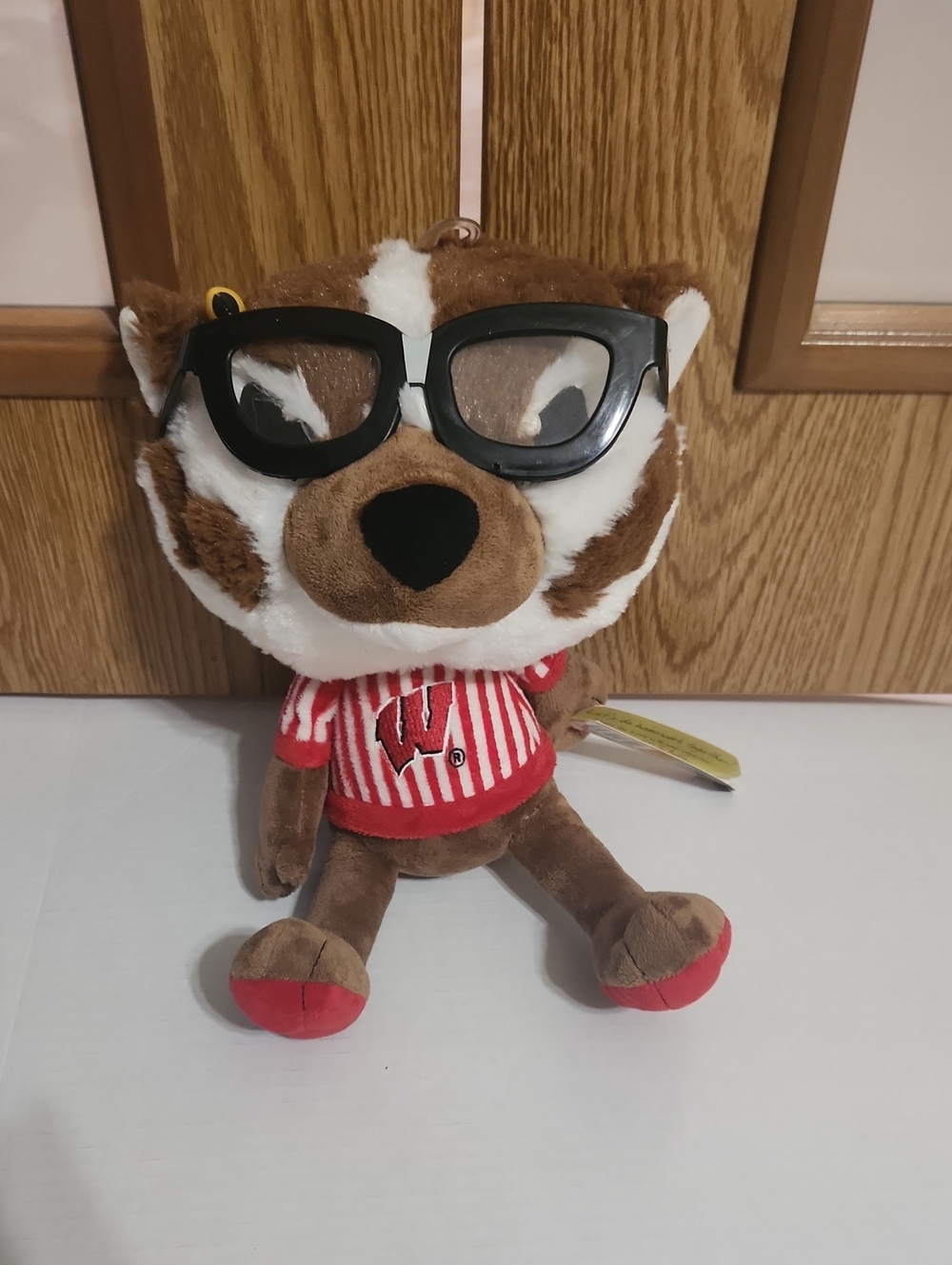 Wisconsin Badgers Bucky Badger Team Nerds Study Buddies Plush Nwt 2011